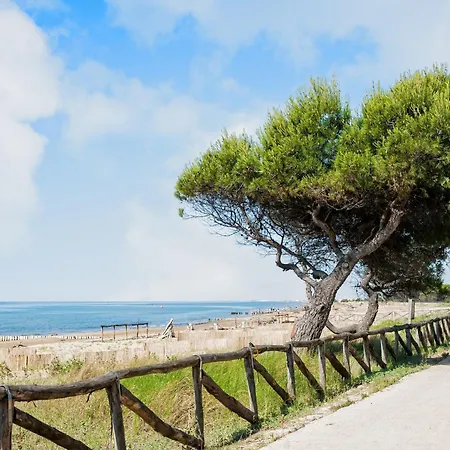 Appartement Coastal With Terrace